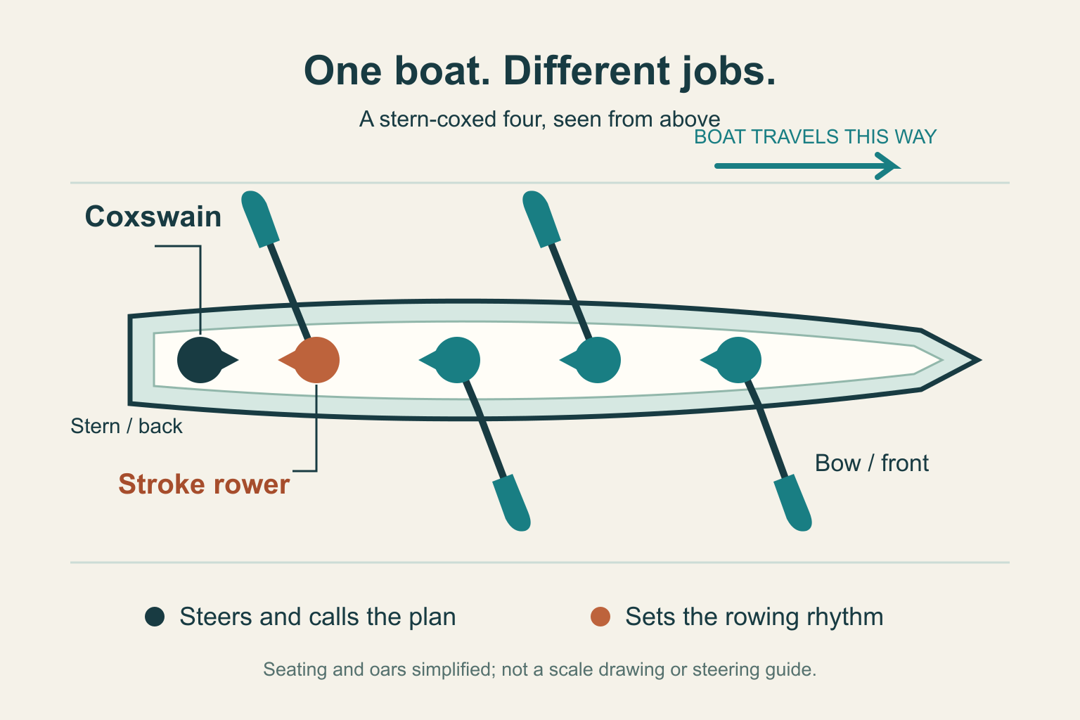Top view of a stern-coxed four: the coxswain faces the bow, opposite four rowers. The nearest rower is the stroke; each rower has one oar.